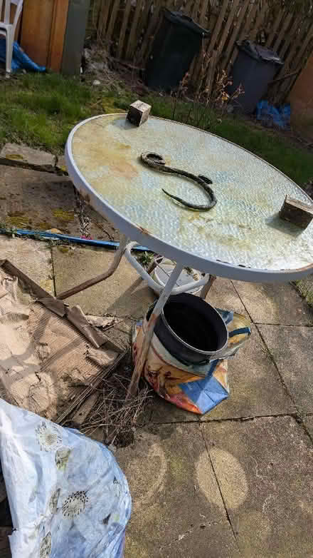 Photo of free Garden Table (BD22) #1