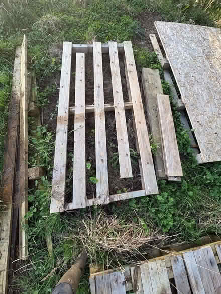 Photo of free Assorted Pallets (Vale of White Horse OX13) #3