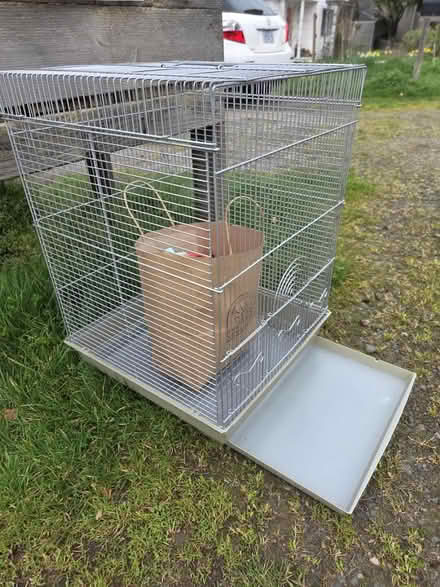 Photo of free Bird cage and bird toys (Milwaukie, Ardenwald) #3