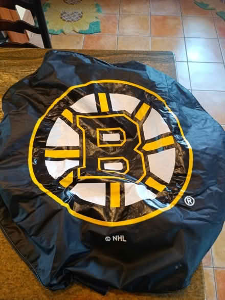 Photo of free Bruins SUV wheel cover (winchester) #1