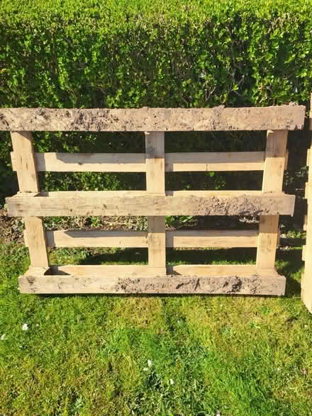 Photo of free Two wooden pallets (Spondon Derby) #2