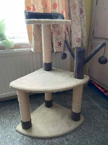Photo of free Cat tree (Stowmarket) #2