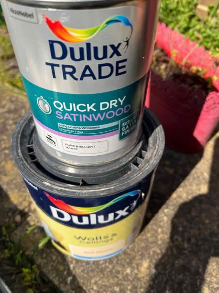 Photo of free Shed clearance (Chiswick W4) #3