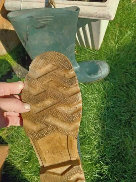 Photo of free Men's wellies (St George BS5) #2