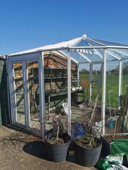 Photo of free Ideal making greenhouse (Wybunbury Nantwich) #4