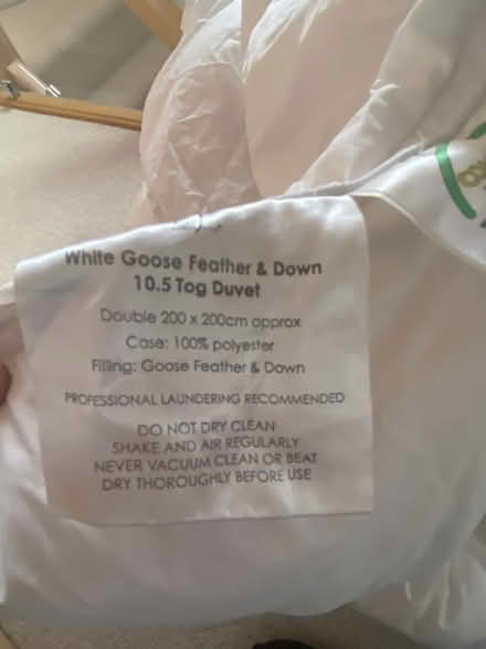 Photo of free King size Goose Feather Quilt (Eastern Green CV5) #2
