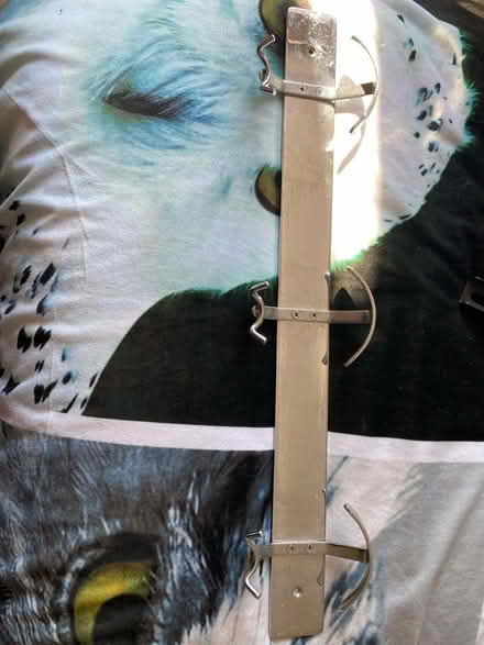 Photo of free Chrome coat hooks (Southborough TN4) #1