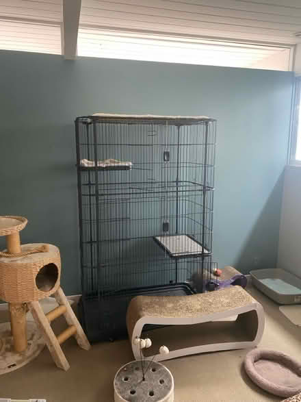 Photo of free Cat condo (San Rafael) #1