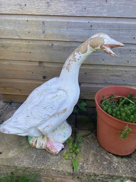 Photo of free Garden figures (Acle NR13) #2