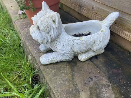 Photo of free Garden figures (Acle NR13) #3