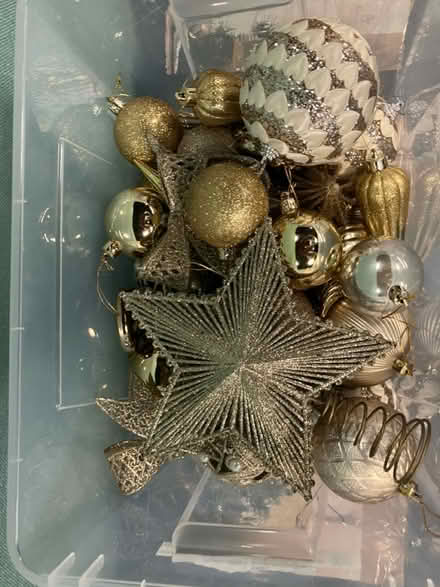 Photo of free Christmas decorations (City centre G2) #2
