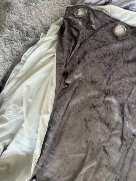 Photo of free Very long and heavy crushed velvet curtains (Birkby HD1) #2