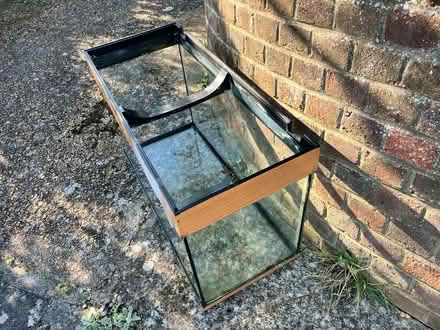 Photo of free Jewel Fish tank (Brighton BN2 6) #4