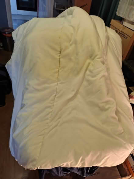 Photo of free Old double duvet (Central Braintree) #3