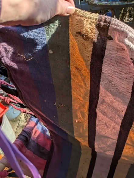 Photo of free Adult hanging hammock chair (Fry’s Hill OX4) #2