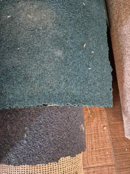 Photo of free Carpet - wool mix (Wrestlingworth) #3
