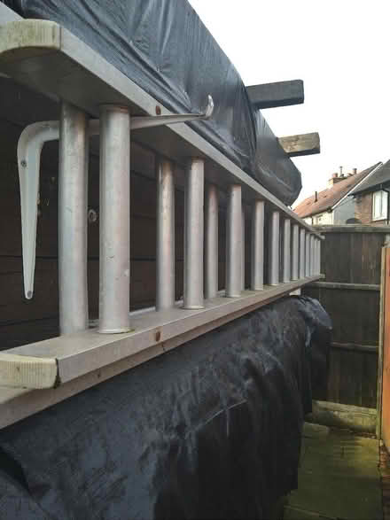 Photo of free Ladder (DE23 sinfin) #1