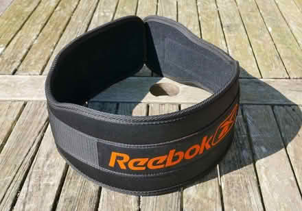 Photo of free Lumber Support Belt (Stapleton LD8) #1