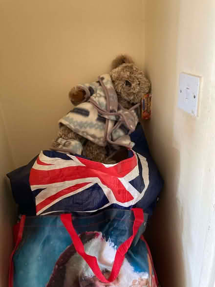 Photo of free 4 huge bags of fluffy toys not (Camp Hill CV10) #1