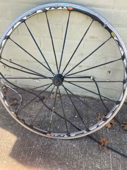 Photo of free Three bike tire rims (Chevy Chase DC) #1