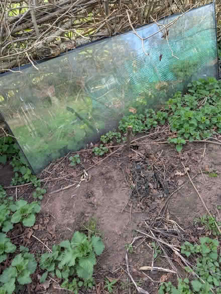 Photo of free Glass Panels (Ruyton-XI-Towns SY4) #4