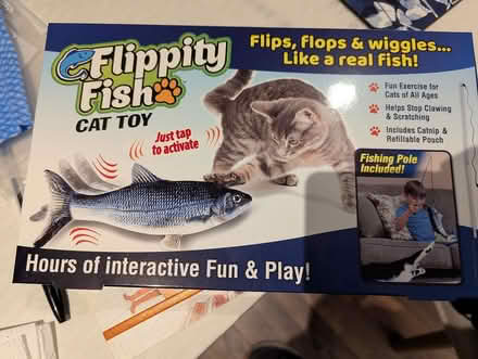 Photo of free Cat toy (Walkinstown) #1