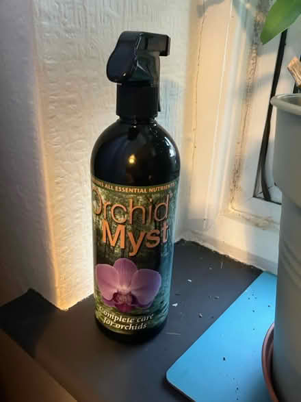 Photo of free Orchid plant with orchid mist (Waddon) #2
