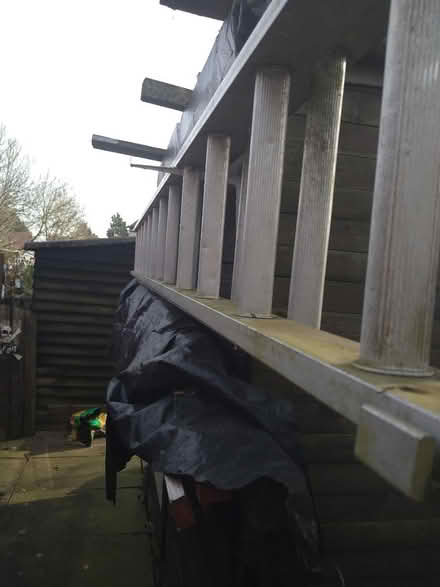 Photo of free Ladder (DE23 sinfin) #3