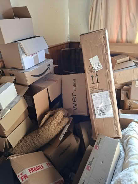 Photo of free 📦 BOXES double sided: big, small, tiny (Pilton EH4) #2