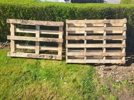 Photo of free Two wooden pallets (Spondon Derby) #3