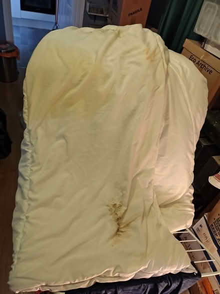 Photo of free Old double duvet (Central Braintree) #2