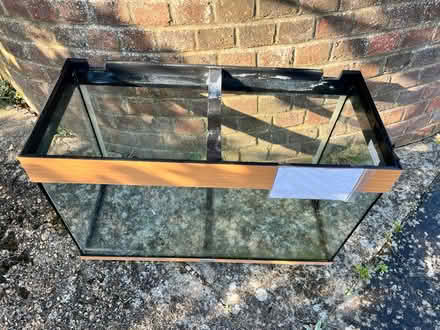 Photo of free Jewel Fish tank (Brighton BN2 6) #2