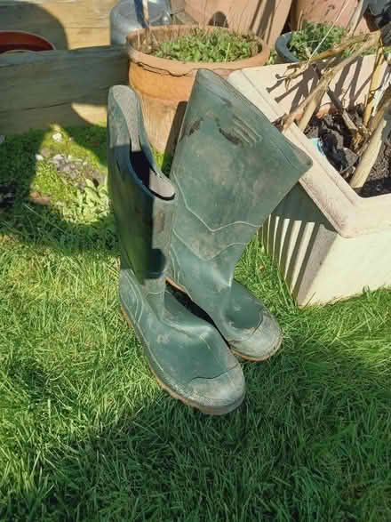 Photo of free Men's wellies (St George BS5) #1