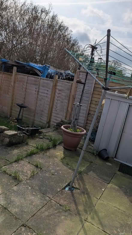 Photo of free Ocean Line and Bird Feeder (BD22) #1