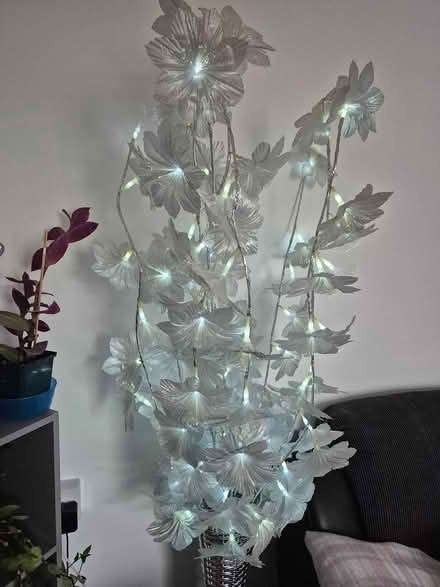 Photo of free Tall flower lights (Maidstone ME15) #1