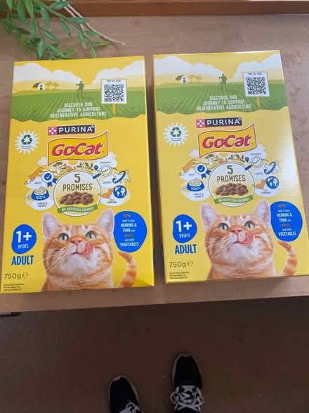 Photo of free Cat food (Fenlake MK41) #1