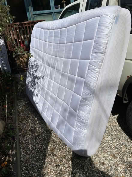 Photo of free 2 Queen matrasses with cover (Chevy Chase DC) #1