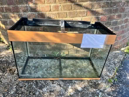 Photo of free Jewel Fish tank (Brighton BN2 6) #3