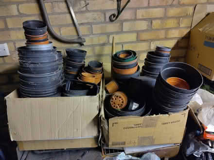 Photo of free Assorted plant pots (Pensby CH61) #1