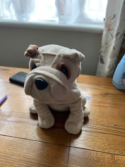 Photo of free Toy dog (Newport Pagnell, MK16) #1