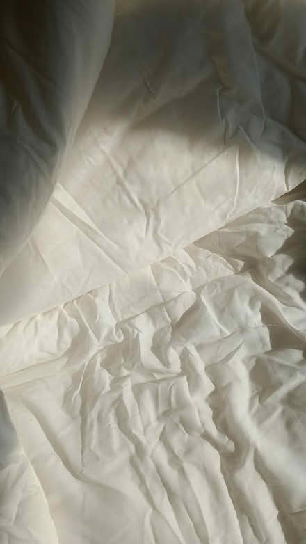 Photo of free Single X2 duvet quilts (Parkstone BH12 3DF) #1