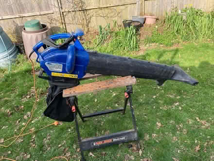 Photo of free Leaf Blower 50ltr Bag (Burgess Hill Chanctonbury) #1