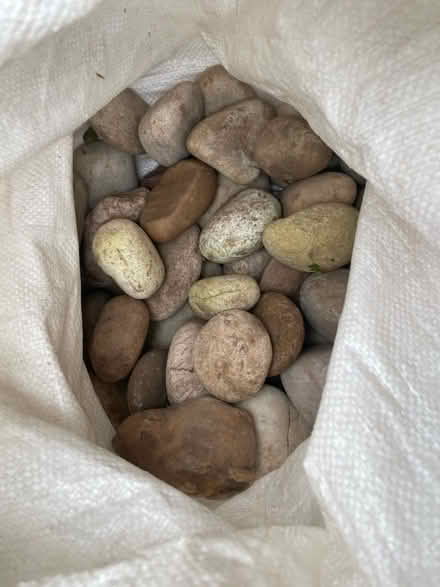 Photo of free Pebbles & stones (Wollaton NG9) #4