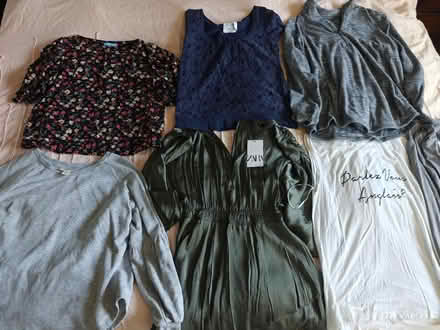 Photo of free Women's Clothes - Large (Near 92nd and Sheridan) #1