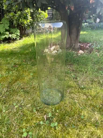 Photo of free Tall glass vase (Pagham PO21) #1