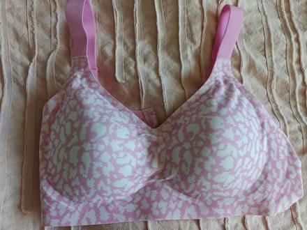 Photo of free New Bra (Near 92nd and Sheridan) #1
