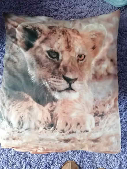 Photo of free Large cushion (Presteigne LD8) #1