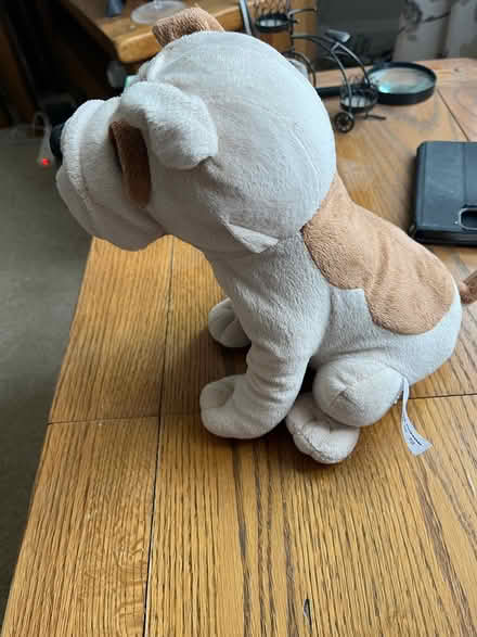 Photo of free Toy dog (Newport Pagnell, MK16) #2
