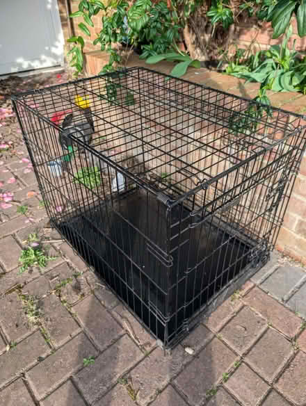 Photo of free Dog training crate (Caversham RG4) #1