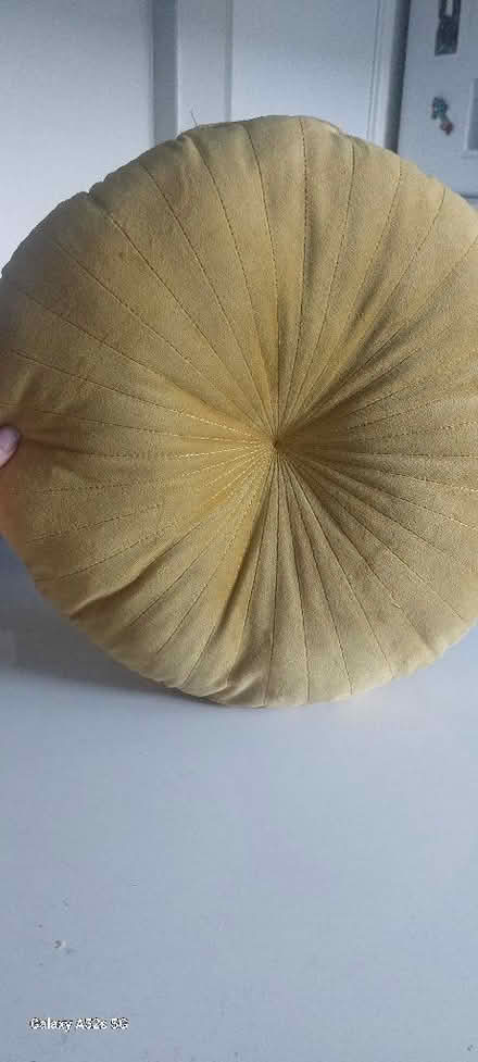 Photo of free 1 velvet round cushion (BT15) #1